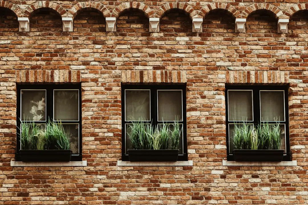 FootballR - NFL - Drei Fenster mit Pflanzen darin an einem Backsteingebäude.